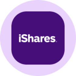 iShares Core S&P 500 ETF (Ondo Tokenized ETF) (IVVON) logo