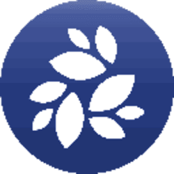 NKN (NKN) logo