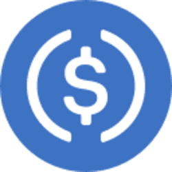 Binance Bridged USDC (BNB Smart Chain) (USDC) logo