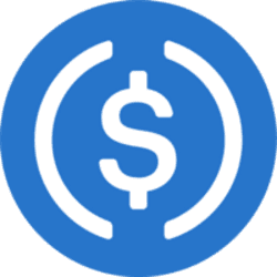 USDC (USDC) logo