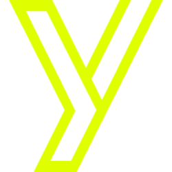 YLDS (YLDS) logo
